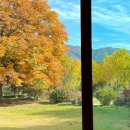 마로니에 하우스 이미지