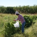 노아농장 이미지