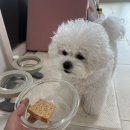 올데이 멍데이 이미지