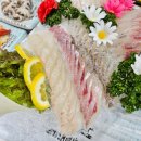 자미애견 이미지