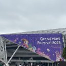 한얼전기 | [페스티벌] 2025 그랜드 민트 페스티벌 GMF 관람 후기 + 관람 팁