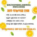 정동빛고을