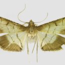 검은들로 이미지