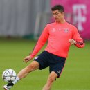 스콜피온 이미지