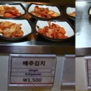 그린테리아1 이미지