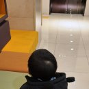 새한약국 이미지