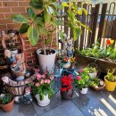 삼덕유치원 이미지