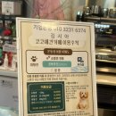 코코애견 | 서울 근교 시흥 애견 운동장 코코 애견카페 다녀온 후기