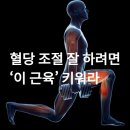 혈당 조절 잘 하려면 ‘이 근육’ 키워라 이미지