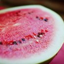 동의보감한의원 이미지