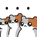 진리커피