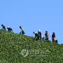 고도민박 이미지