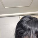 미즈박헤어샵
