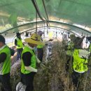 군내농협 이미지