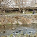 천변좌로 이미지