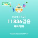 역삼-1650 | 1118-1124 피크민, 플젝끝, 포폴시작