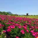 의성조문국사적지 이미지