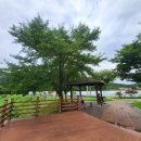 수변공원 정자옆 이미지