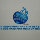 새집증후군피톤치드이야기대전