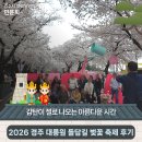 마임 | [2026 '경주 대릉원 돌담길 벚꽃 축제' 후기] | 경주시 SNS 알리미 민윤희