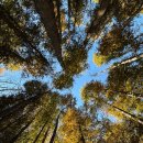 펜션 노트북 이미지