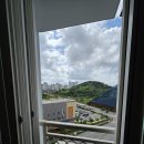 펠리시티1차 | 목포비둘기차단 시공후기 남악 펠리시티1차 아파트