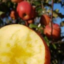 은하수농장 이미지