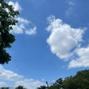 일하고놀자