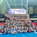 국가대표 태비태권도 이미지