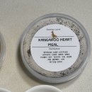 댕이랜드 이미지