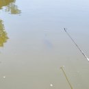 용천농장낚시터 이미지