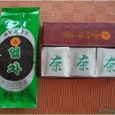 혜림농원 티스토리