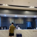 성산비치호텔 | 함덕해수욕장 도보 숙소, 서우봉비치호텔 후기(야외수영장)