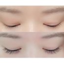 꽃누니속눈썹 | 부산사직동속눈썹 꽃누니속눈썹 눈매가 또렷한 속눈썹연장