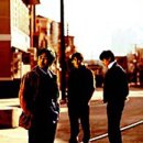 마로니에 이미지