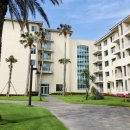영일닭집 - 포항시 남구 | 영일닭집