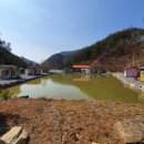 연당낚시터 이미지