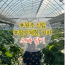 원주 오빠딸기 후기 - 딸기체험과 에어바운스까지! 주말 아이랑 원주여행