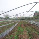 두동농장 이미지