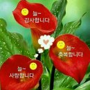 퇴계원로 이미지