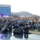 핑크닉 이미지