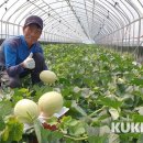 하늘그린 이미지