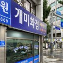 개미화점