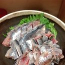 바다의 산삼으로 불리는 1위 제철 생선 이미지