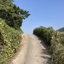 낙동강자전거우회길2 이미지