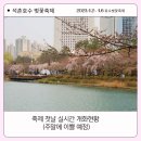 동호푸드 | 석촌호수 벚꽃 실시간 개화현황 2025 호수벚꽃축제 첫날 다녀온 후기
