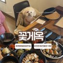 꽃게옥 - 연수구 송도과학로16번길 33-3 | 천안 유량동 맛집 밥집 추천 | 한옥에서 즐기는 간장게장 정식, 꽃게옥 애견동반 재방문 후기