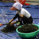 무주맛집 별미가든 이미지