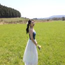 노루밭영농조합법인 | [공지] 제주 웨딩스냅 셀프촬영 리얼후기 0원으로 완성한 드레스 촬영장소와 사진보정법