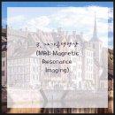 영통단단마디의원 이미지